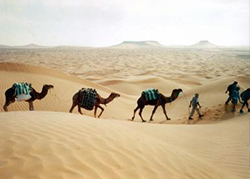 Trekking à Tozeur