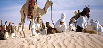 séjour désert tunisie