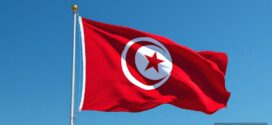 Drapeau Tunisie : 199 ans d&rsquo;histoire, loi de 1999 et symboles