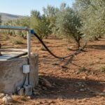 Puits agricole avec pompe électrique dans une oliveraie en Tunisie