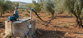 Puits agricoles non autorisés : la régularisation à 3 500 dinars adoptée par l&rsquo;ARP